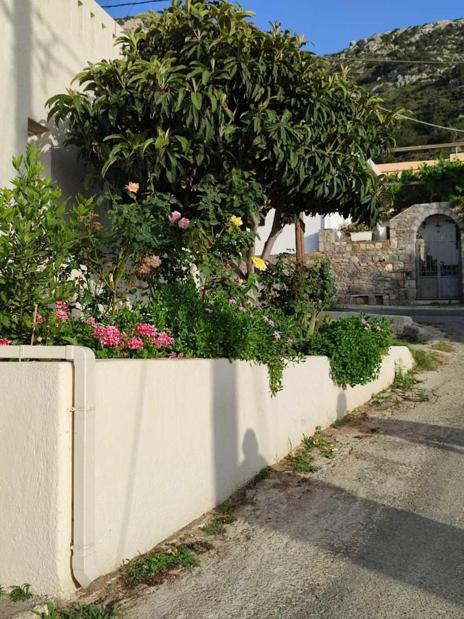 Kassandra Garden Residence Istron Extérieur photo